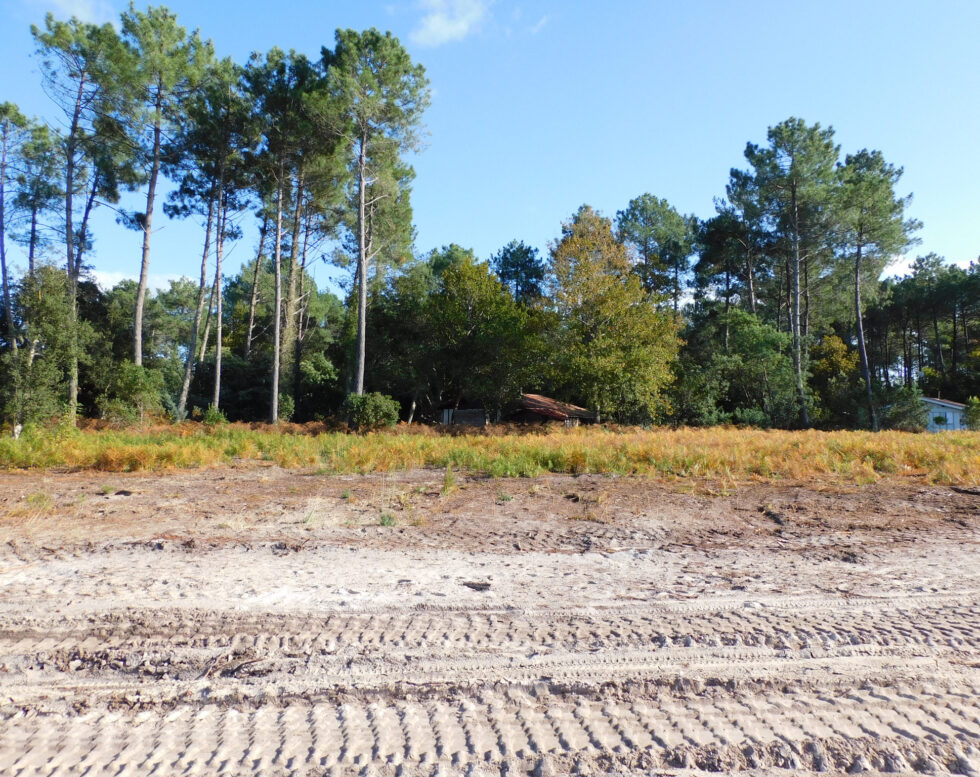 BEAU TERRAIN CONSTRUCTIBLE AU CALME