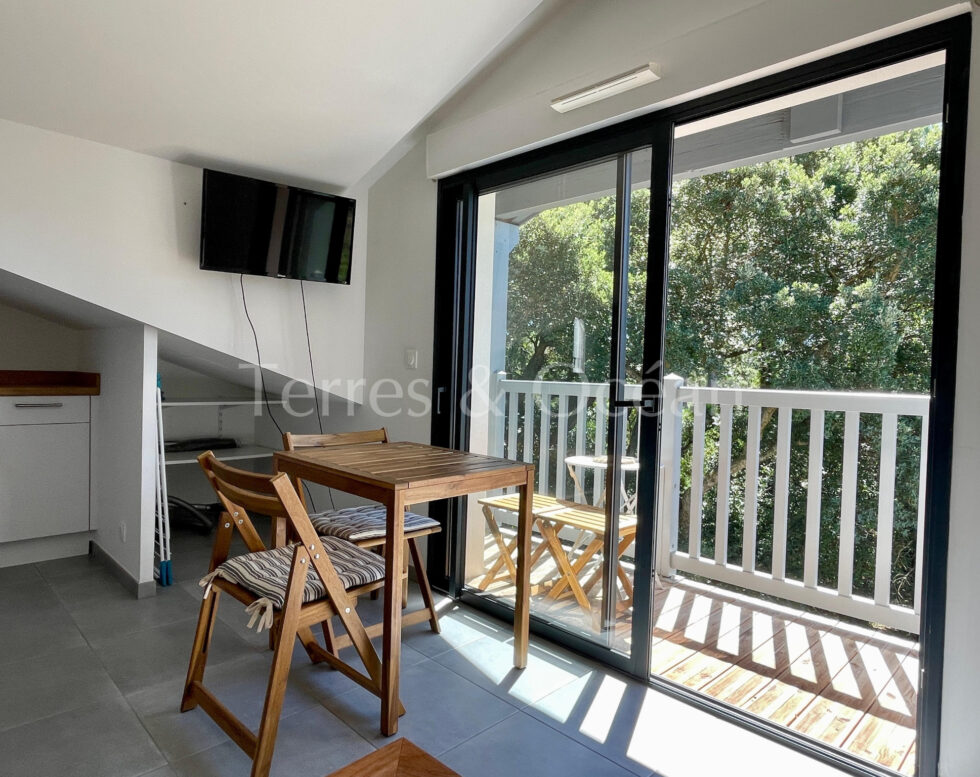 APARTMENT HOSSEGOR CITY CENTER AND LAKE