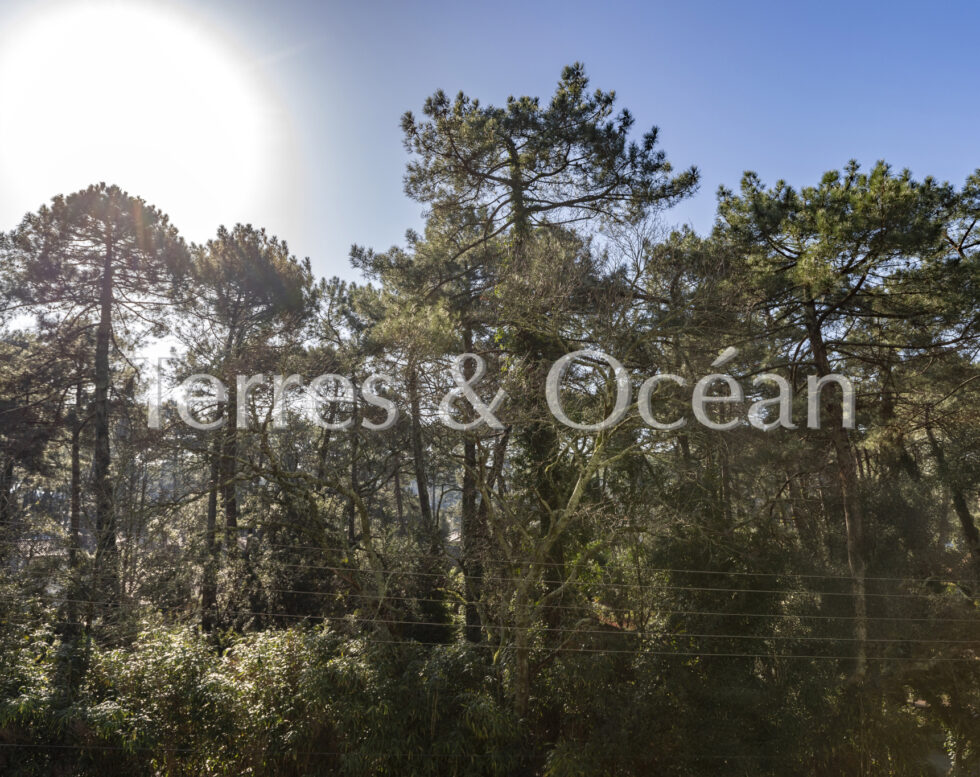 Hossegor, Maison de 260 m2 sur 3 niveaux avec piscine, proche centre-ville