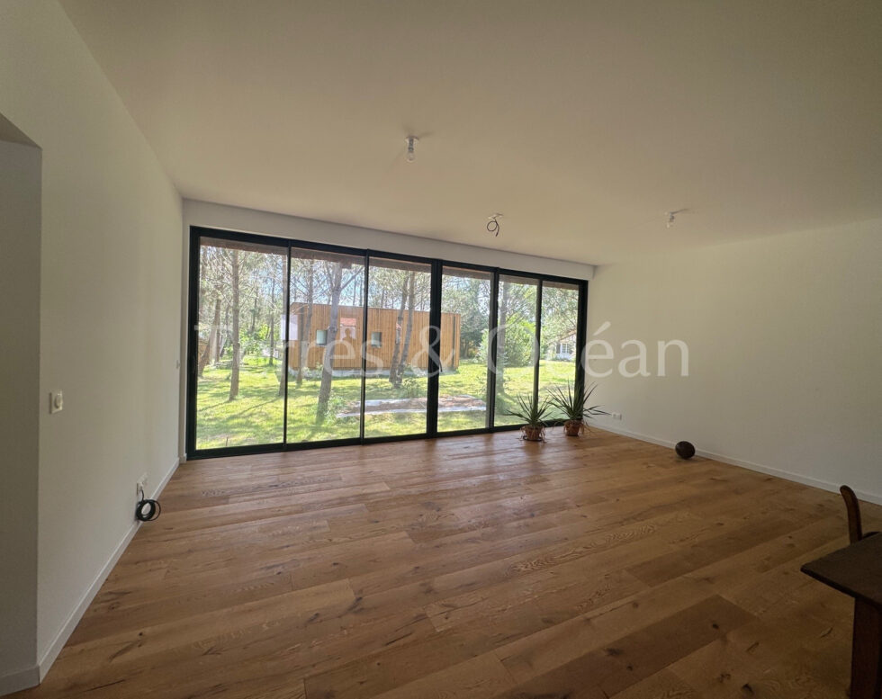 HOUSE new timber frame