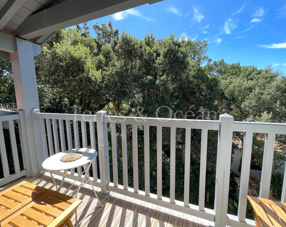 LAC ET CENTRE-VILLE APPARTEMENT AVEC BALCON ET PARKING