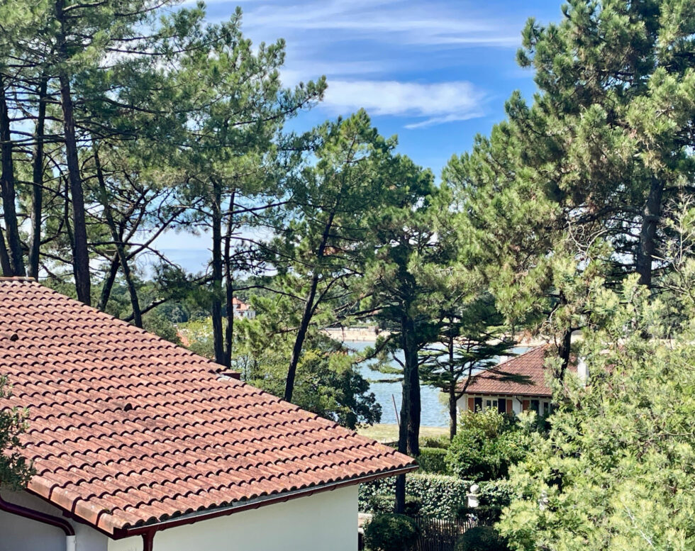 LAC ET CENTRE-VILLE APPARTEMENT AVEC BALCON ET PARKING