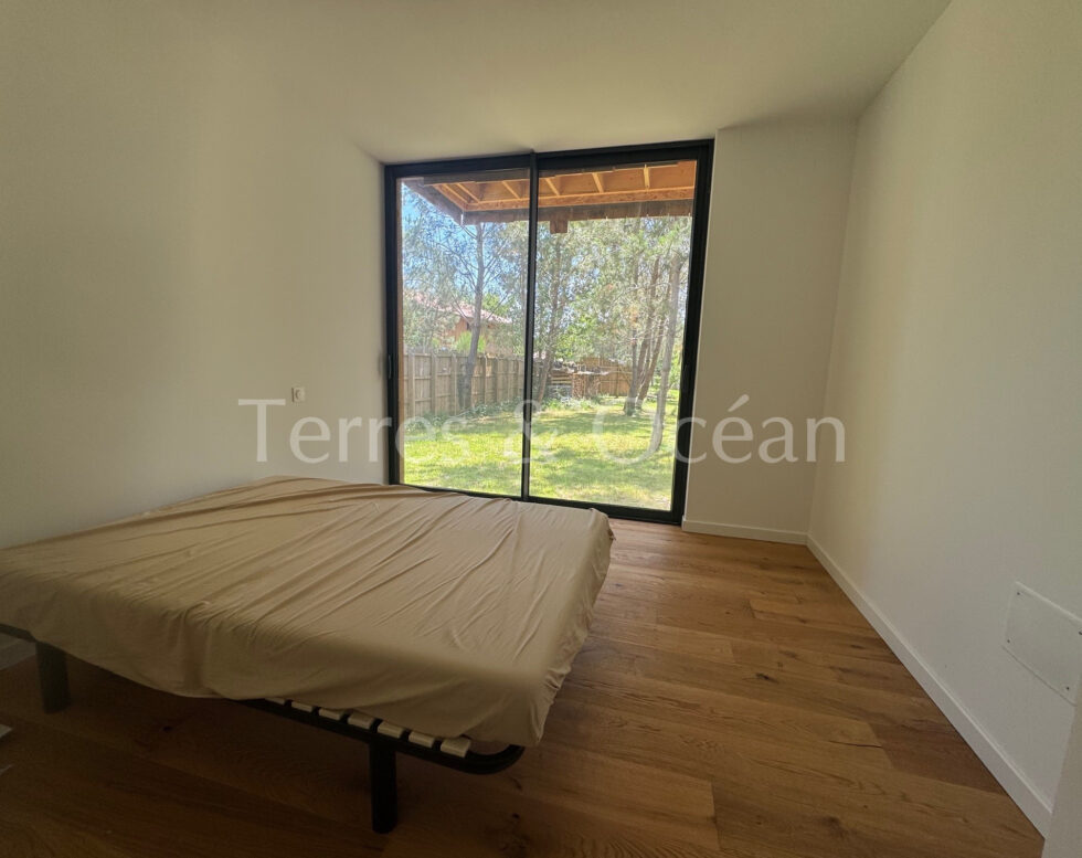 HOUSE new timber frame