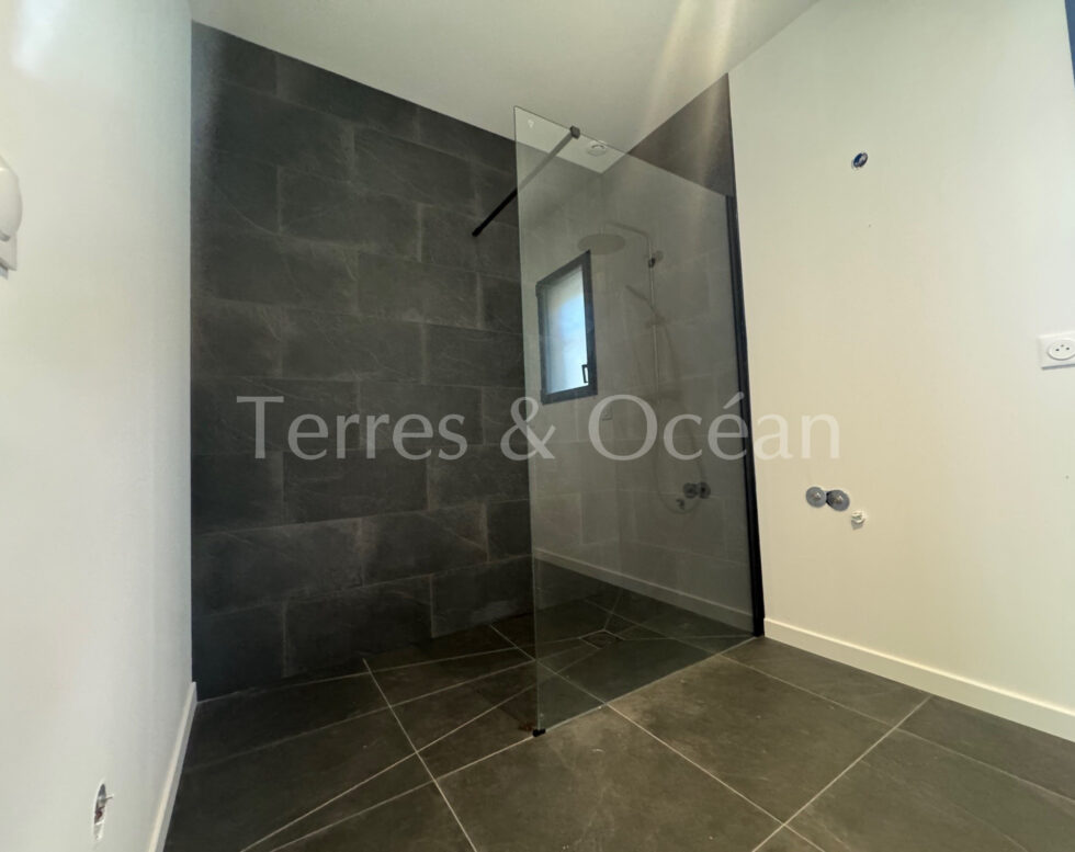 HOUSE new timber frame