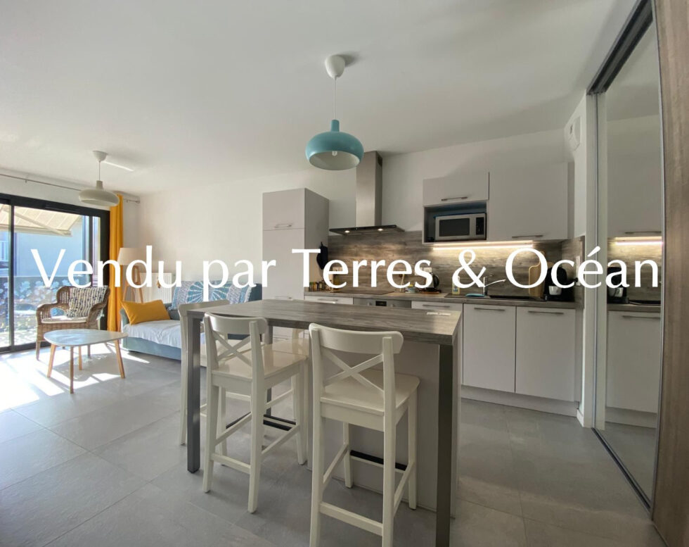 BEAUTIFUL T2 CAPBRETON CENTER AND BEACH