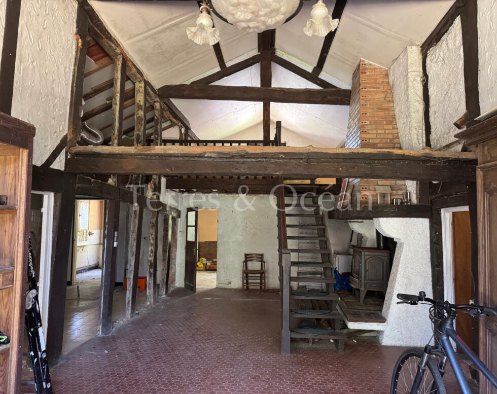 Typical Landaise house, calm environment