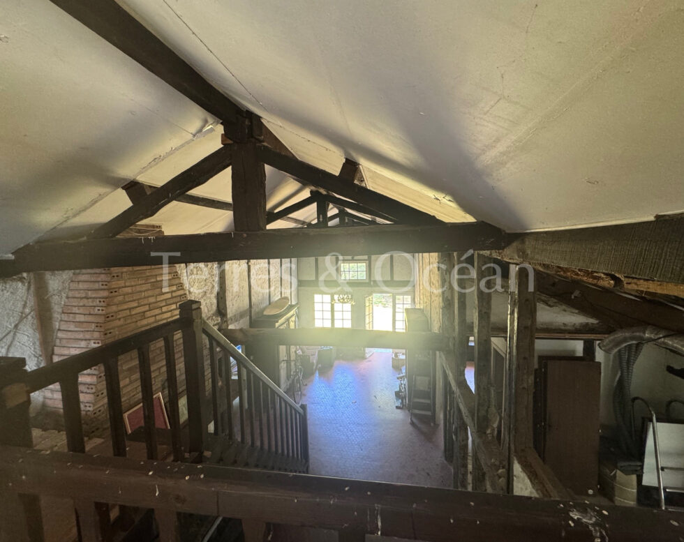 Typical Landaise house, calm environment