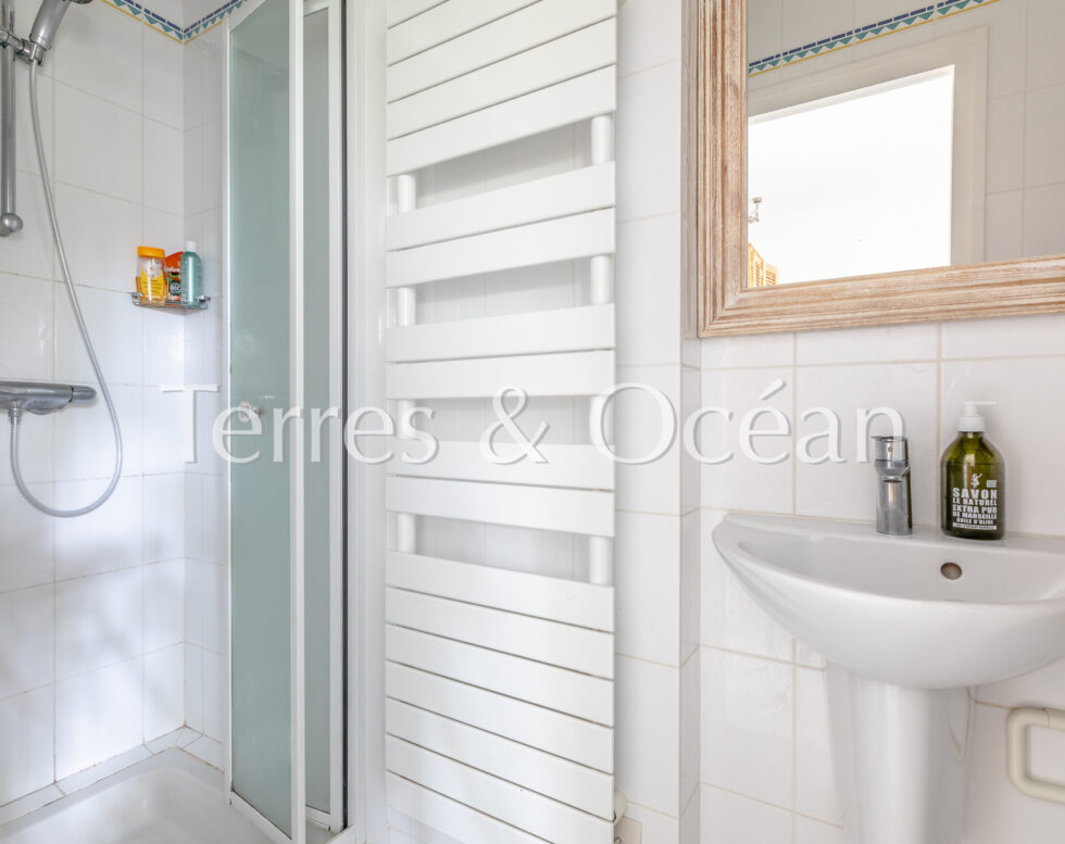 ARCHITECT-DESIGNED HOUSE WITH JAPANESE INSPIRATION IN ITS GREEN SETTING HOSSEGOR