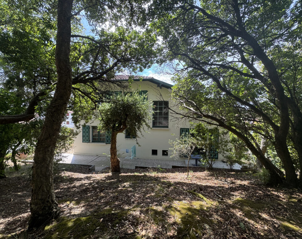 CAPBRETON Entre centre-ville et océan