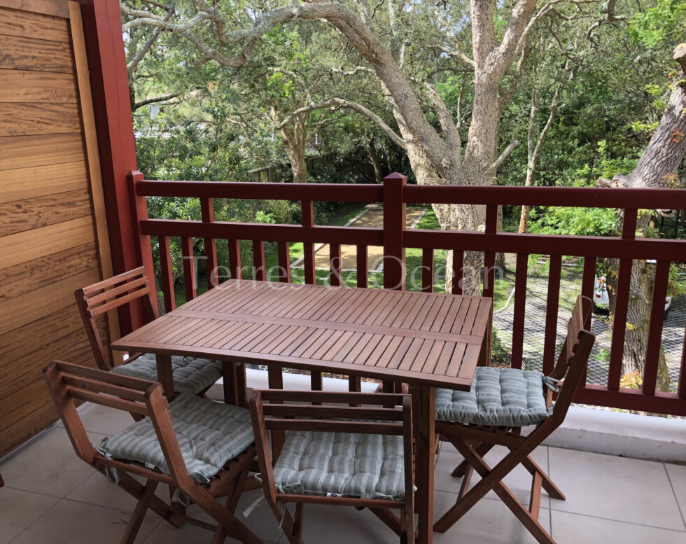 HOSSEGOR ,T3 EN DUPLEX, ENTRE LAC ET OCÉAN