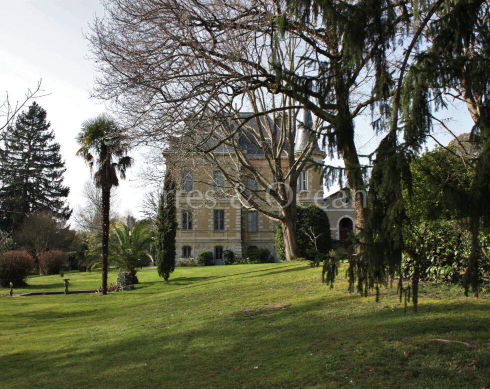 CHATEAU AVEC DEPENDANCES ENTRE PEYREHORADE ET DAX