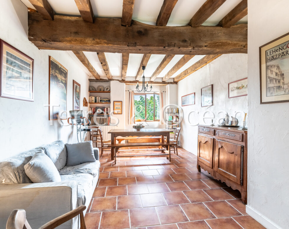 LARGE BASQUE HOUSE WITH POOL IN HASPARREN