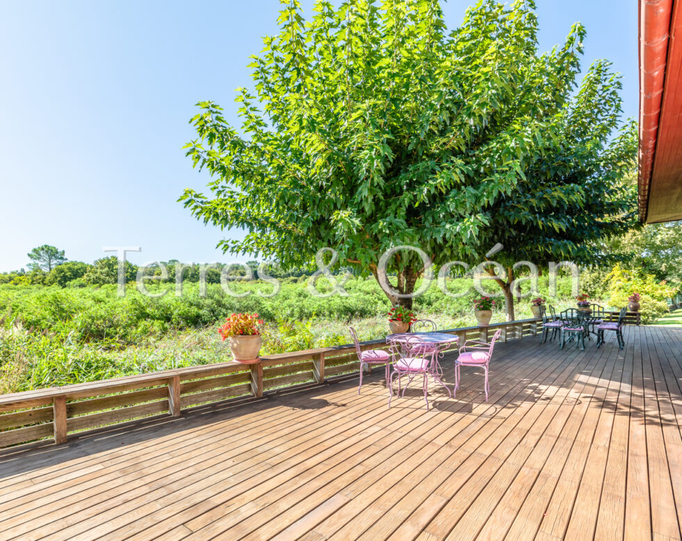 ADRESSE RARE ENTRE NATURE ET ELEGANCE