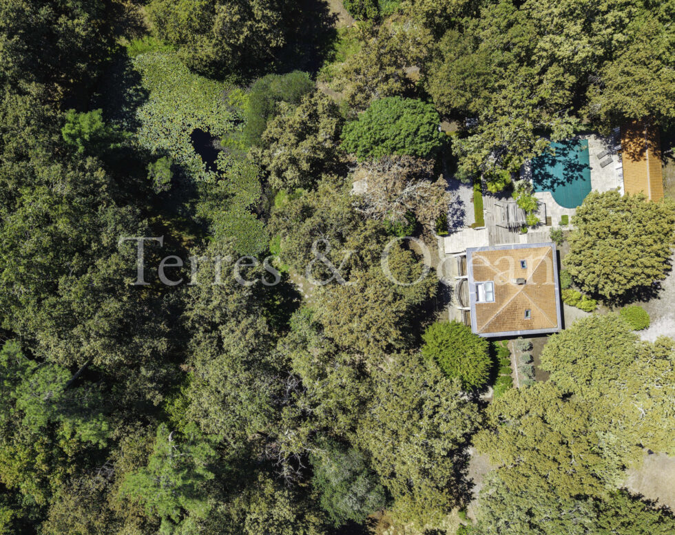 VILLA AVEC ÉTANG ET FORET ATTENANTE A 15 MIN DE LA PLAGE, COTE LANDAISE